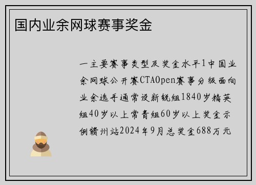 国内业余网球赛事奖金